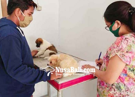 Nusabali.com - vaksinasi-massal-rabies-jalan-di-tengah-pandemi