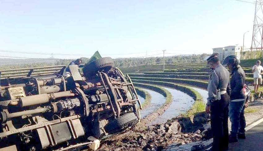 NUSABALI com Hindari Tabrakan Truk  Muat  Pakan Ternak 