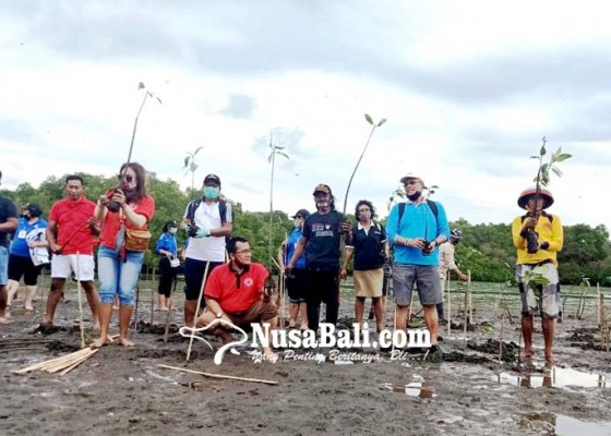 Nusabali.com - antisipasi-abrasi-krama-kedonganan-tanam-2500-mangrove