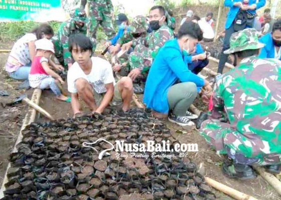 Nusabali.com - tni-semai-2500-bibit-warga-siapkan-lahan-25-ha