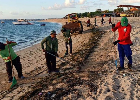 Nusabali.com - sampah-terus-berdatangan-di-pesisir-pantai-timur