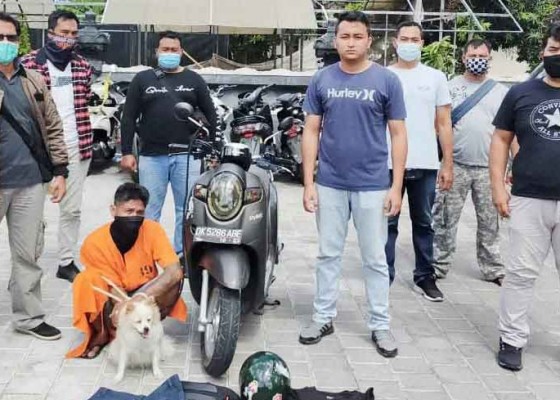 Nusabali.com - baru-4-bulan-bebas-asimilasi-ditangkap-lagi-karena-nyuri-anjing