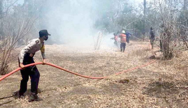 www.nusabali.com-kebun-seluas-3-hektare-terbakar