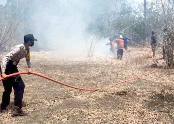 Nusabali.com - kebun-seluas-3-hektare-terbakar