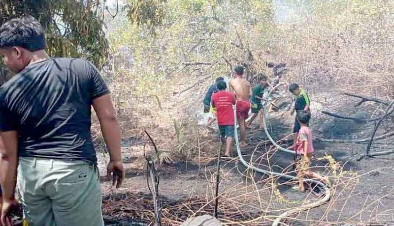 www.nusabali.com-kebun-terbakar-kerugian-ratusan-juta