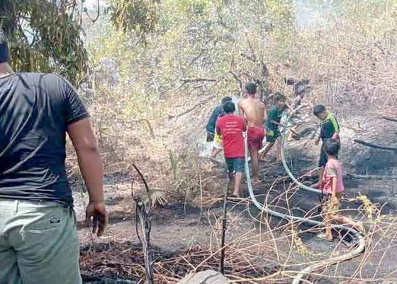 Nusabali.com - kebun-terbakar-kerugian-ratusan-juta