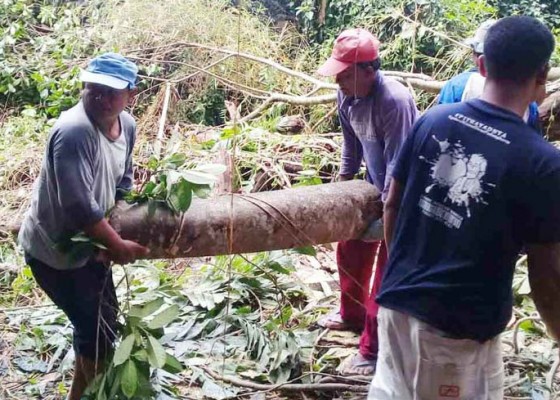 Nusabali.com - dapur-tertimpa-pohon-tumbang