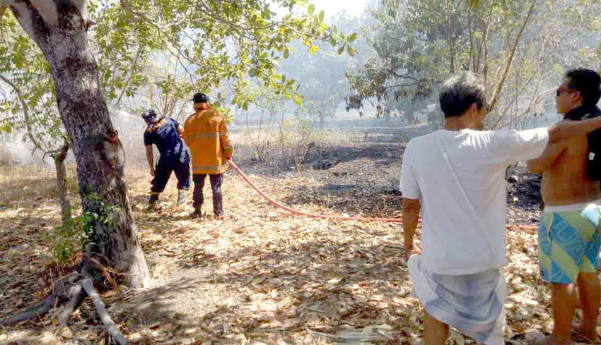 NUSABALI com Lahan  Kering  Terbakar