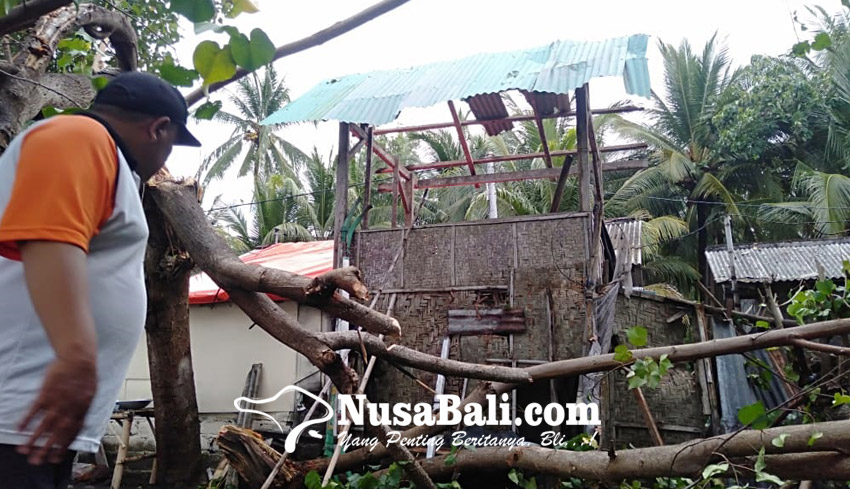 Puting Beliung Terjang Gerokgak Buleleng Puluhan Rumah Rusak Nusabali Com