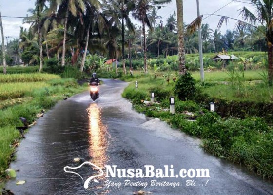 Nusabali.com - jalan-griya-tegalalang-tergenang-air