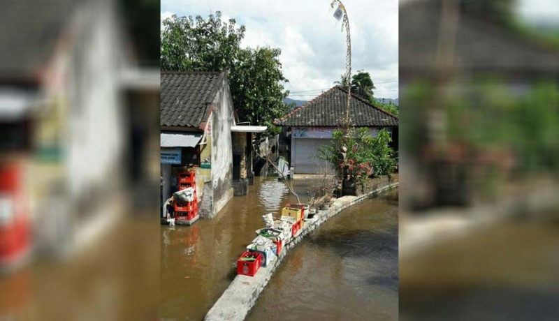 www.nusabali.com-pohon-tumbang-banjir-dan-longsor