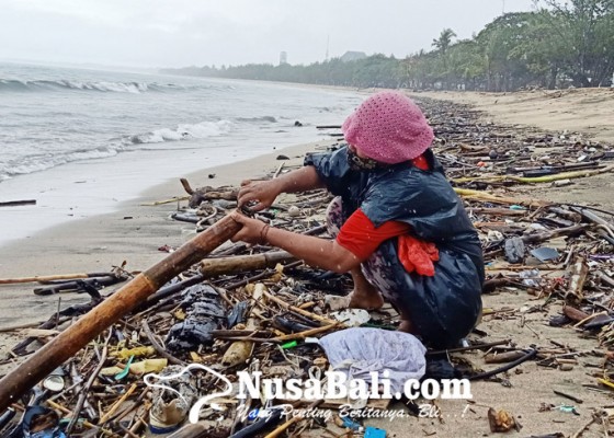 Nusabali.com - warga-cari-kepiting-di-antara-sampah-kiriman-di-kuta