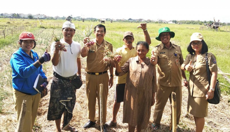 www.nusabali.com-kadis-pertanian-denpasar-meninggal-akibat-corona