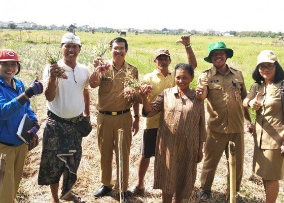 Nusabali.com - kadis-pertanian-denpasar-meninggal-akibat-corona