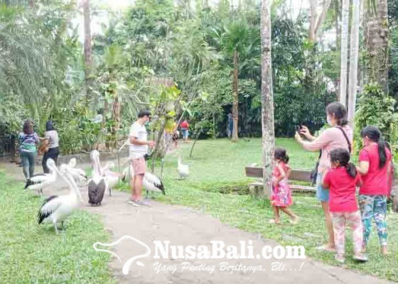 Nusabali.com - wisdom-luberi-objek-wisata