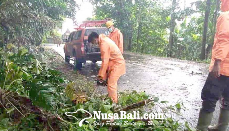 www.nusabali.com-longsor-tutup-sebagian-badan-jalan-lalin-terganggu