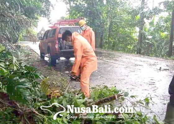 Nusabali.com - longsor-tutup-sebagian-badan-jalan-lalin-terganggu