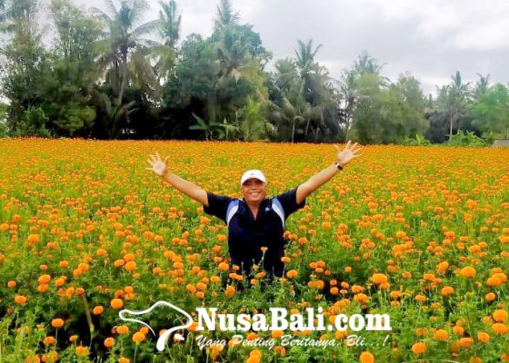 Nusabali.com - turis-lokal-penyelamat-pariwisata-bali