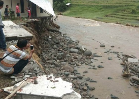 Nusabali.com - banjir-bandang-terjang-pekutatan-jembrana-tiga-rumah-rusak-belasan-sapi-mati