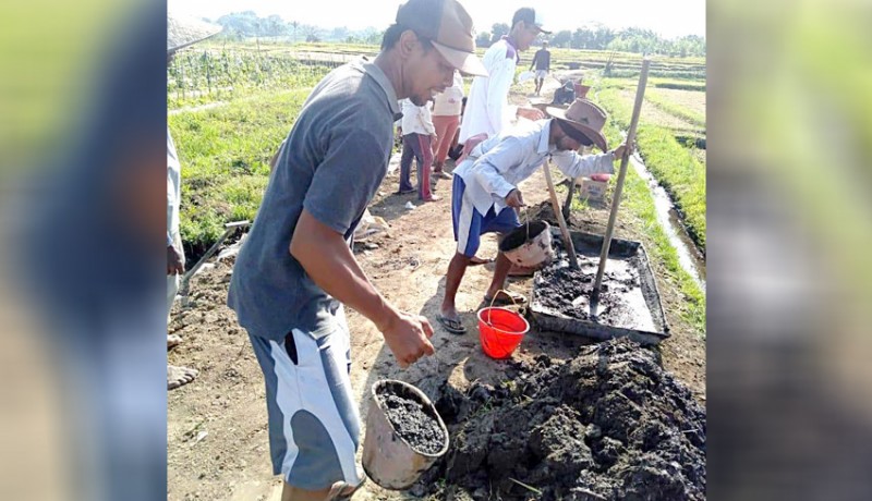 www.nusabali.com-warga-gotong-royong-perbaiki-jalan-persawahan