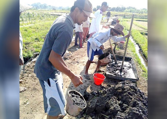 Nusabali.com - warga-gotong-royong-perbaiki-jalan-persawahan