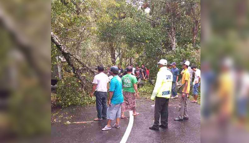 www.nusabali.com-jalur-pupuan-singaraja-terganggu-30-menit