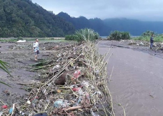 Nusabali.com - diterjang-banjir-puluhan-hektare-lahan-pertanian-rusak