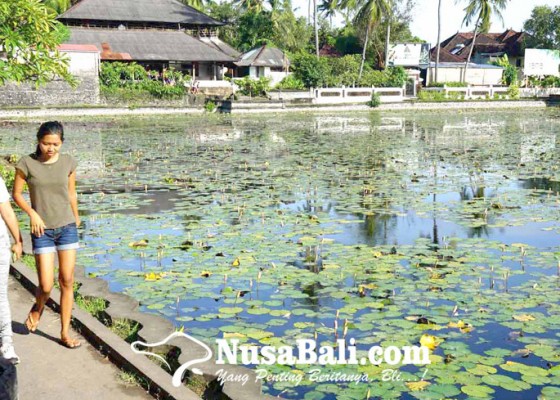 Nusabali.com - kolam-candidasa-segera-dijadikan-objek-taman-air