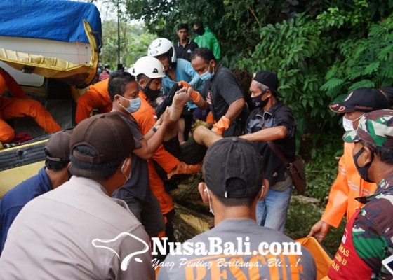 Nusabali.com - bencana-pohon-tumbang-di-karangasem-2-tewas-2-luka