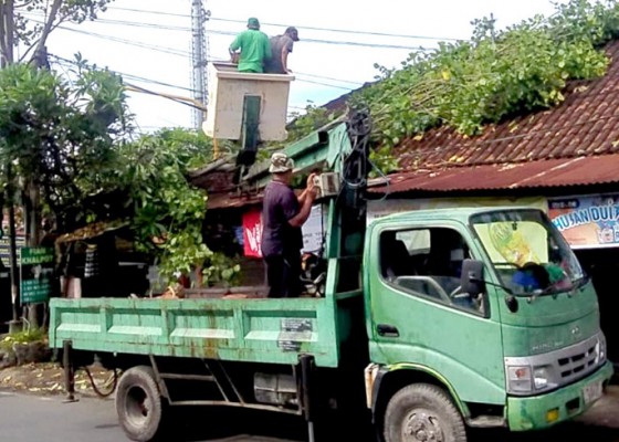 Nusabali.com - dinas-lhk-denpasar-kekurangan-mobil-tangga