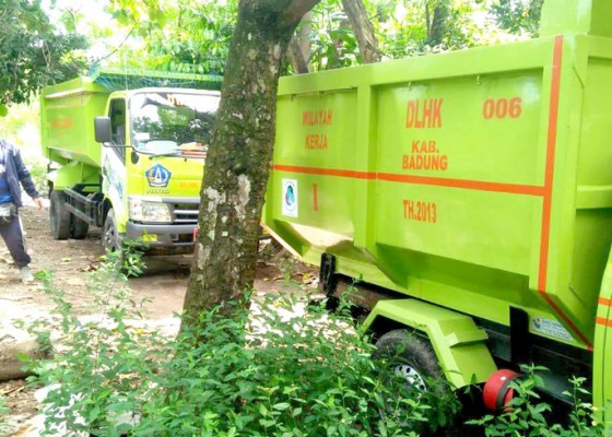 Nusabali.com - tumpukan-sampah-di-hutan-mangrove-mulai-diangkut