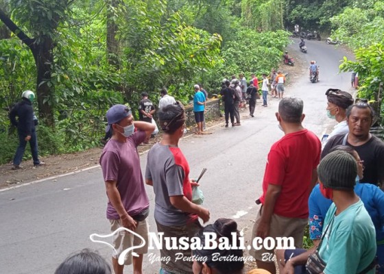 Nusabali.com - tiap-hari-didatangi-juru-tenung