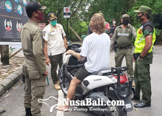 Nusabali.com - selama-maret-satpol-pp-bali-tindak-31-wna