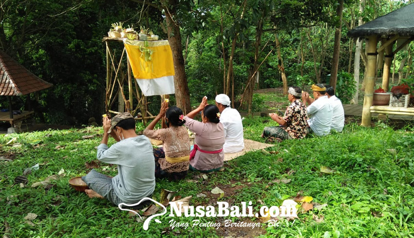 Tumpek Kandang Wujud Harmonisasi Umat Hindu Terhadap