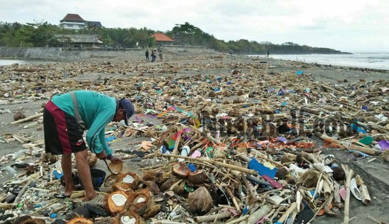 www.nusabali.com-pantai-kedungu-penuh-sampah-toris-batal-surfing