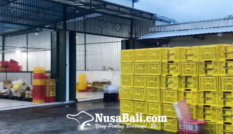 www.nusabali.com-terganjal-transportasi-udara-ekspor-manggis-bali-dilakukan-lewat-laut