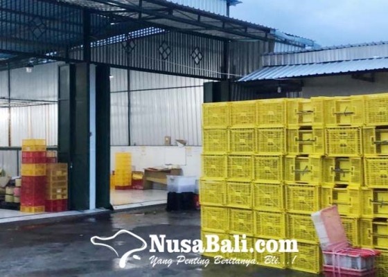 Nusabali.com - terganjal-transportasi-udara-ekspor-manggis-bali-dilakukan-lewat-laut