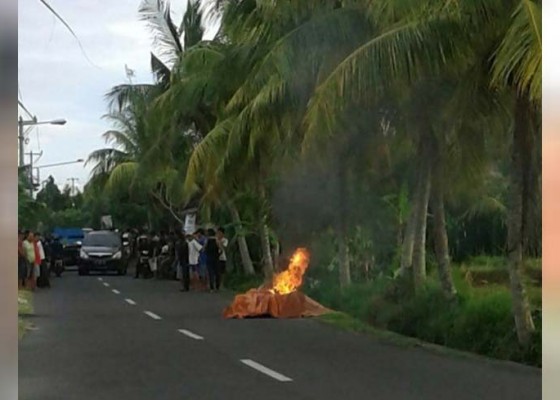 Nusabali.com - dua-pelajar-curi-sebungkus-nasi-sempat-dihajar-massa-motor-juga-dibakar