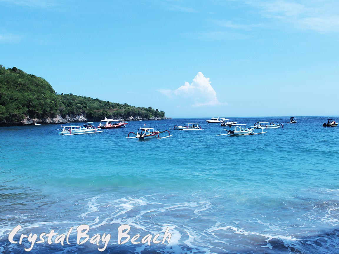 Harga Paket Murah Wisata Bali (Nusa Penida dan Ubud) 3 Hari 2 Malam 2023 - Senggol Bali