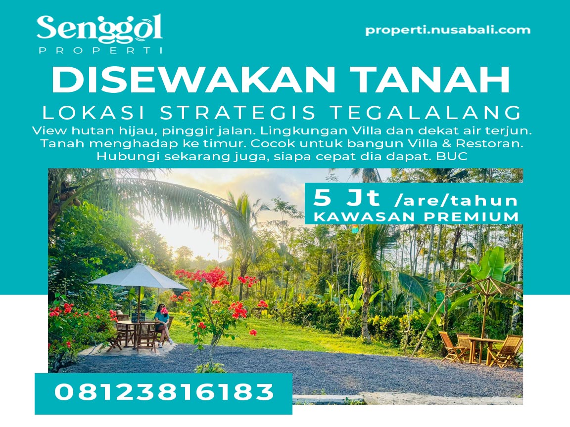 Disewakan Tanah Strategis Tegalalang Murah View Hutan - Senggol Bali