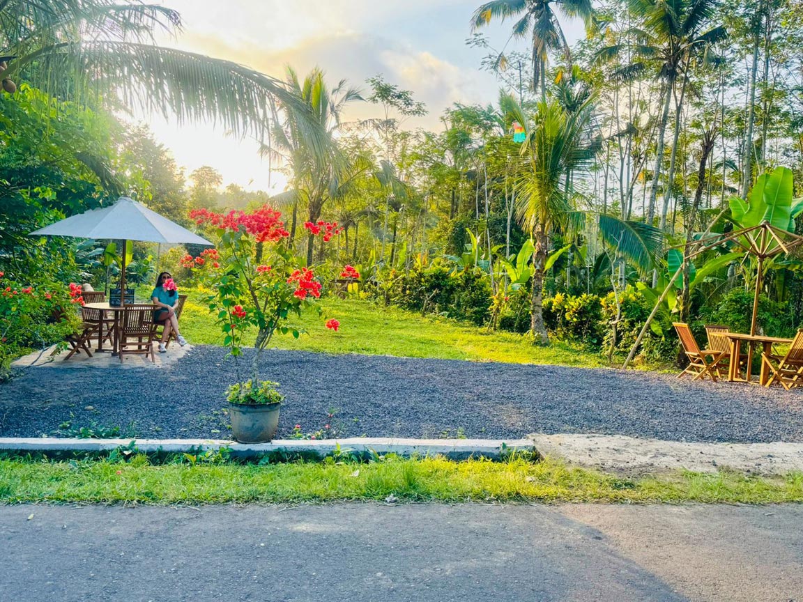 Disewakan Tanah Strategis Tegalalang Murah View Hutan - Senggol Bali