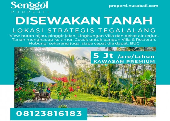 Disewakan Tanah Strategis Tegalalang Murah View Hutan - Senggol Bali