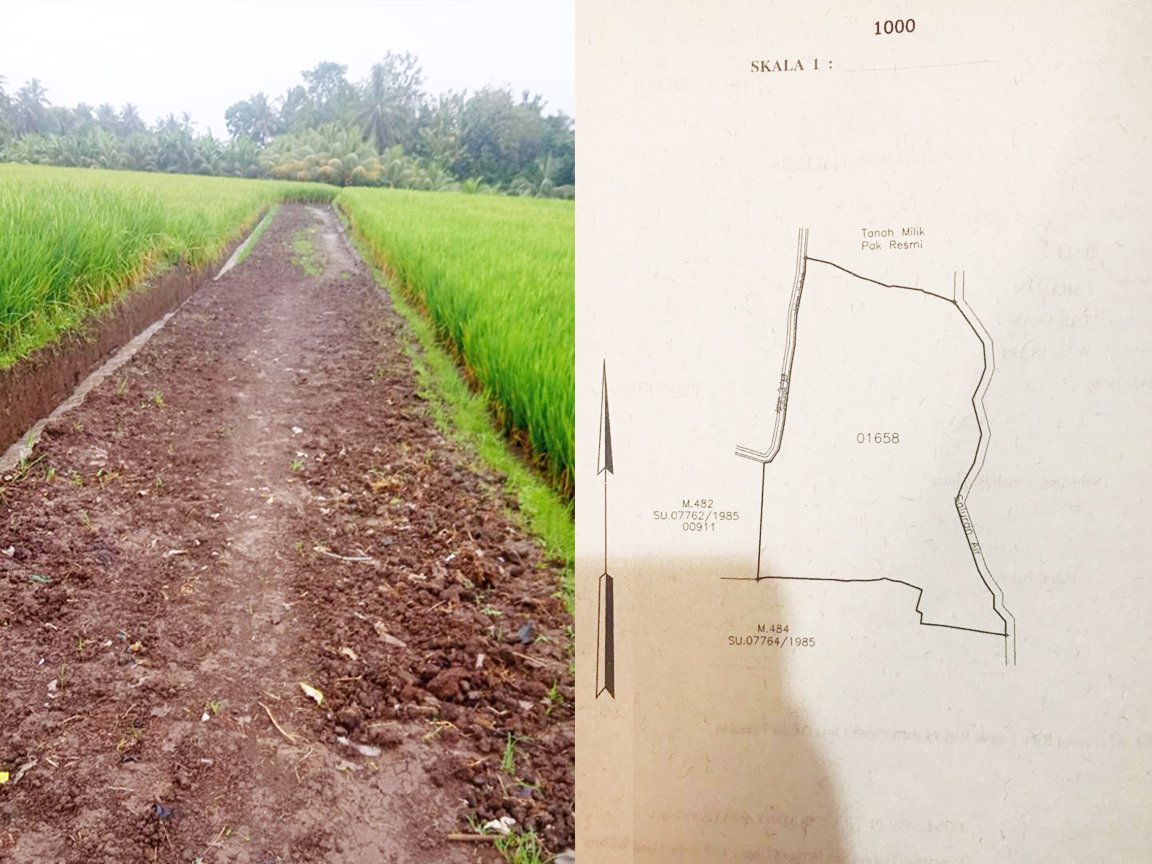 Dijual Tanah Sawah Lokasi Desa Priuk, Wanasari - Tabanan - Senggol Bali